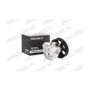 12H0129 RIDEX