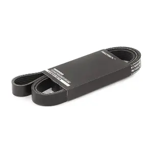 RIDEX 305P0073