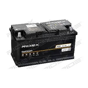 RIDEX 1S0043