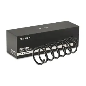 188C0623 RIDEX