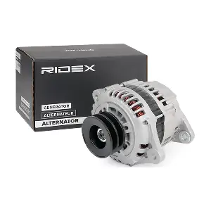 4G0262 RIDEX