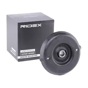 RIDEX 1180S0091