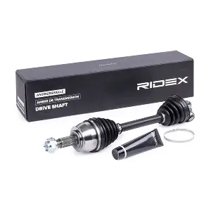 13D0268 RIDEX