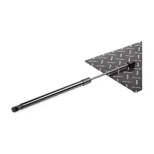 219G0674 RIDEX
