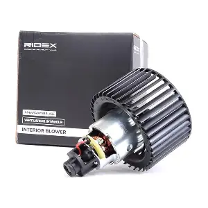 2669I0008 RIDEX