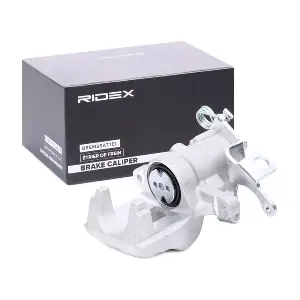 78B0194 RIDEX
