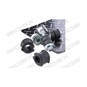1097S0016 RIDEX