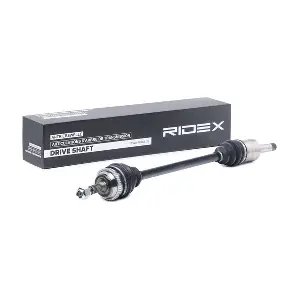 13D0381 RIDEX