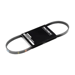 RIDEX 305P0008