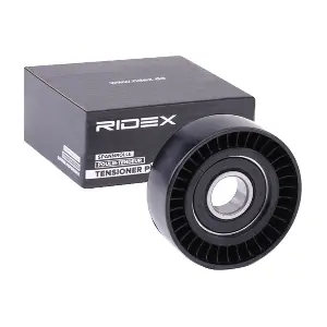310T0482 RIDEX