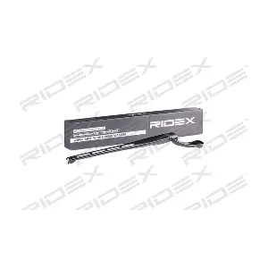 301W0024 RIDEX