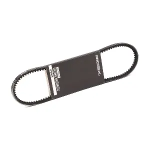 RIDEX 10C0005
