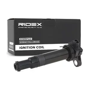 689C0134 RIDEX
