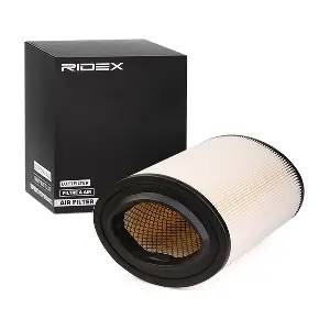 RIDEX 8A0253