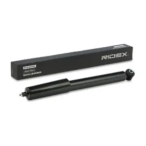 854S1667 RIDEX