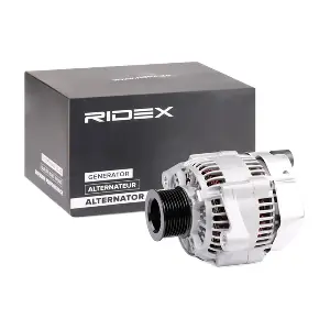 4G1387 RIDEX
