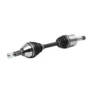 13D0618 RIDEX
