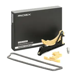 RIDEX 1389T2438