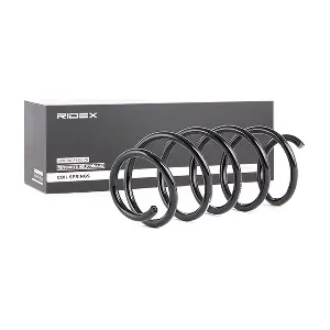 188C0117 RIDEX