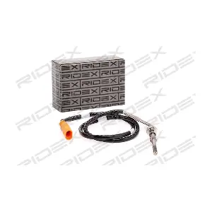 3938E0051 RIDEX