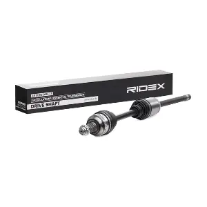 RIDEX 13D0308