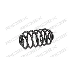 188C0061 RIDEX