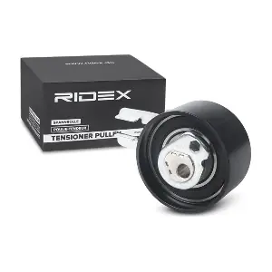 RIDEX 308T0055