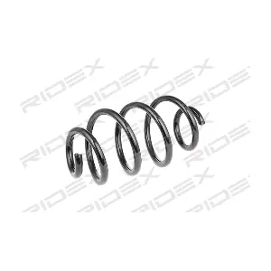 188C0491 RIDEX