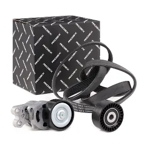 RIDEX 542R0251