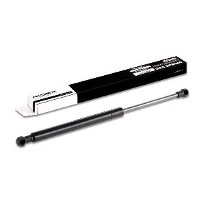 RIDEX 219G0204
