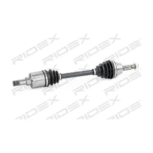 RIDEX 13D0410