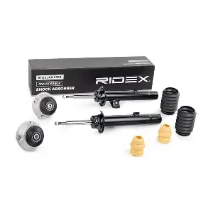 1185S0004 RIDEX