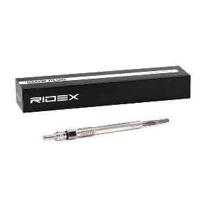 RIDEX 243G0009