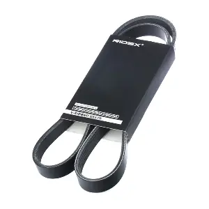 305P0212 RIDEX