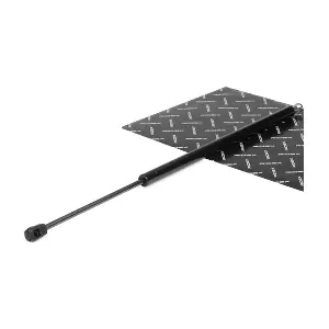 219G0231 RIDEX