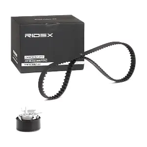 RIDEX 307T0110