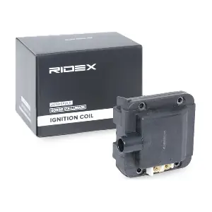 RIDEX 689C0254