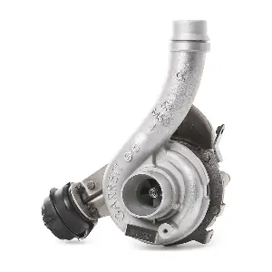 2234C10011R RIDEX
