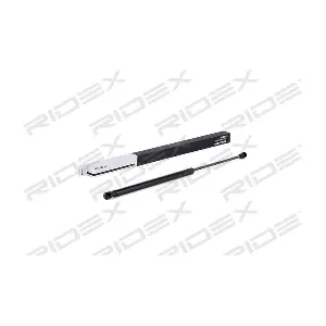 219G0391 RIDEX
