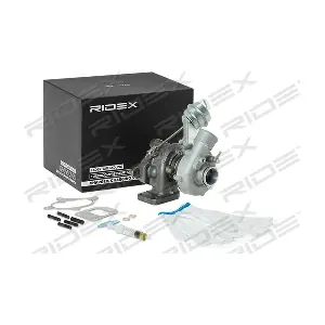 2234C0119 RIDEX