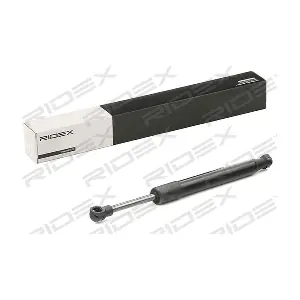 219G0907 RIDEX