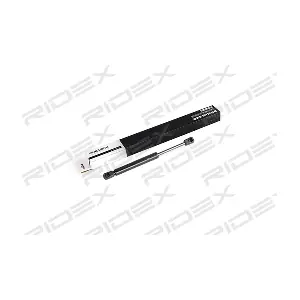 219G0541 RIDEX
