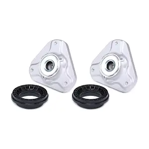 1180S1079 RIDEX
