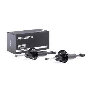 854S1569 RIDEX