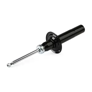 854S2316 RIDEX