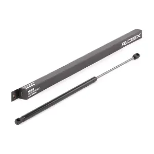 219G0525 RIDEX