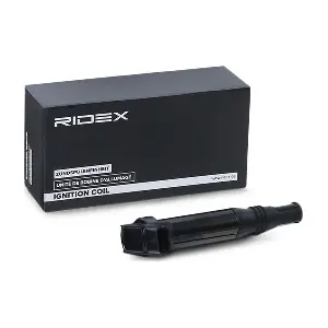 689C0364 RIDEX