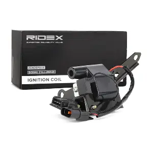 689C0198 RIDEX