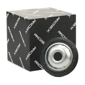 RIDEX 1300S0093