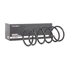 188C0106 RIDEX